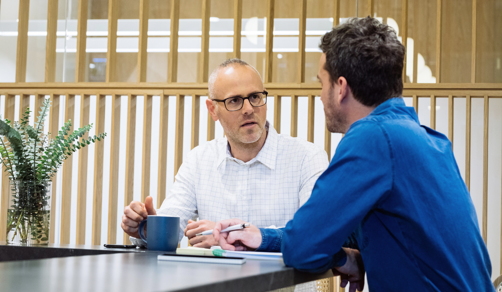 Professional career strategy discussion